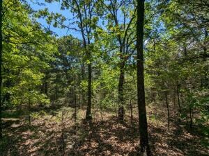 TBD 7A Spring Creek Trail, Cecil, AR 72930 - photo 5