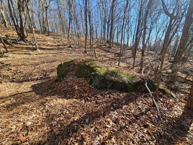 Lot#6 Fannies Ln, Fries, VA 24330 - photo 4