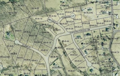 TBD Lot#47 Grinstead Hill Rd, Chilhowie, VA 24319 - photo 2