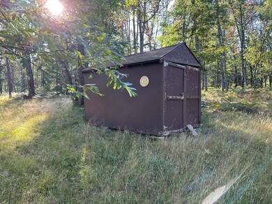 429 W 72nd St, Baldwin, MI 49304 - photo 7