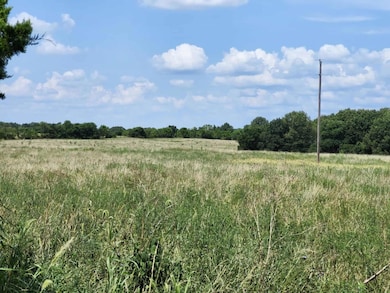 535473512_1193633446139755_7925457439321