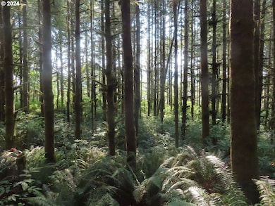 0 State Hwy 4 unit 7, Graysriver, WA 98621 - photo 2