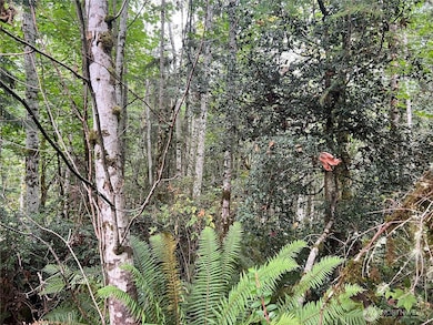 2 XX View Dr NE, Poulsbo, WA 98370 - photo 6