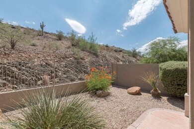 backyard 3