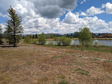Sandhill Lake View