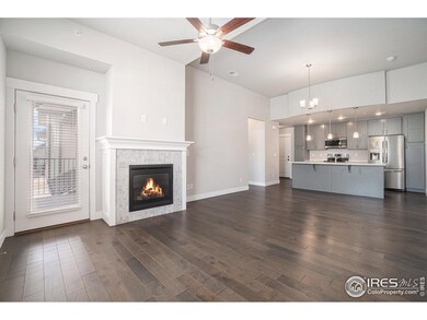 6510 Crystal Downs Dr unit 206, Windsor, CO 80550 - photo 2