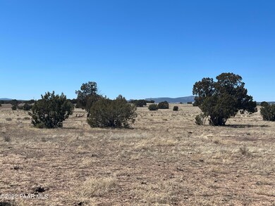 13 SW Chain Ranch, Ash Fork, AZ 86320 - photo 2