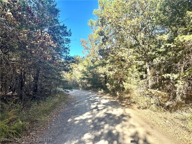 Tract 3 Benson Ln, Heavener, OK 74937 - photo 3