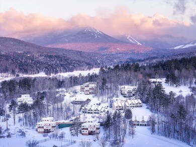 230 Mountainside Dr unit D201, Stowe, VT 05672 - photo 4