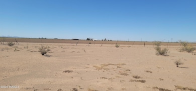 0000 Purple Sage Rd SW, Deming, NM 88030 - photo 2