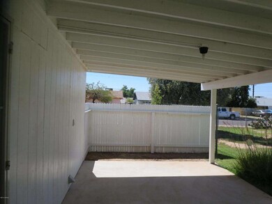 Back patio 1