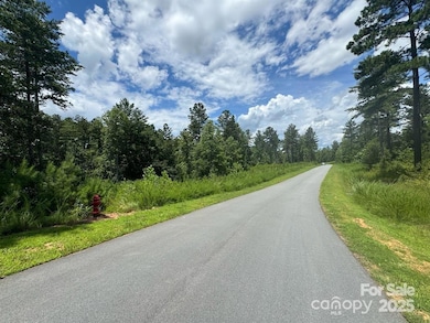 2169 Windom Peak Summit unit 199, Connelly Springs, NC 28612 - photo 7