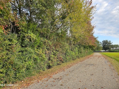 0 Mount Sinai Rd, Foxworth, MS 39483 - photo 2
