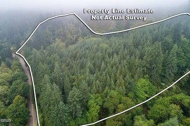 Drone View