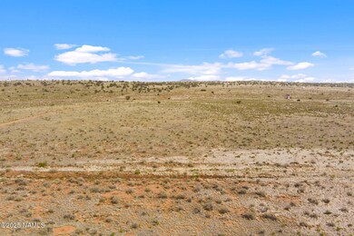 728 E Pine Rd, Valle, AZ 86046 - photo 4