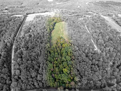 401 Olde Ashes Creek Rd, Bloomfield, KY 40008 - photo 3