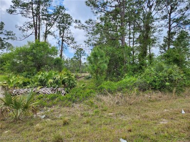 2603 33rd St W, Lehigh Acres, FL 33971 - photo 5