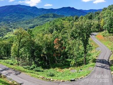Lot 25 Summit View Pkwy, Spruce Pine, NC 28777 - photo 5