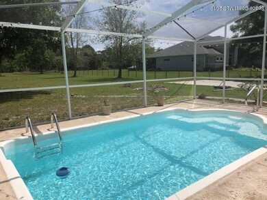 Pool Florida Palm