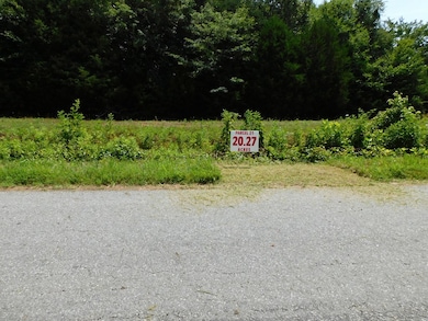 20.27 AC Lloyds Mill Rd, Clover, VA 24534 - photo 6