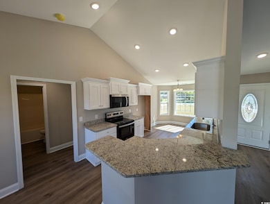 TBB Black Creek Rd, Nichols, SC 29581 - photo 3