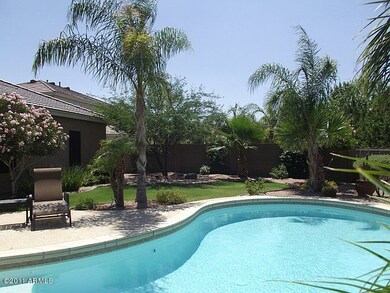Grassy Backyard Oasis