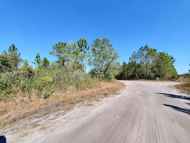 0 SW Prine Rd unit 19604535, Lee, FL 32059 - photo 4