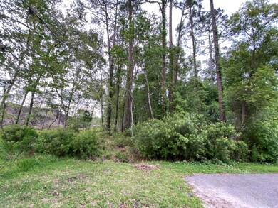 0 Rosedale Ln unit 1049710, Jacksonville, FL 32244 - photo 4