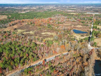 31 acres Beagle Rd, Sardis City, AL 35956 - photo 6