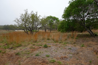 850 Brand Rd, Bulverde, TX 78163 - photo 7