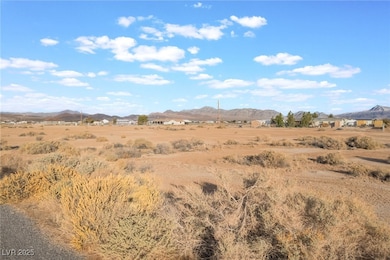 4230 W Joann St, Pahrump, NV 89048 - photo 2