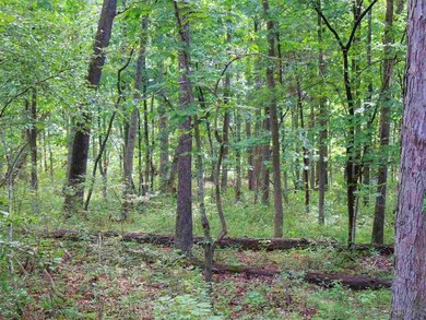 Lot 38 Whippoorwill Ln, 4, Newport, VA 22835 - photo 3