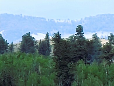 1051 Arapahoe Trail, Hartsel, CO 80449 - photo 3