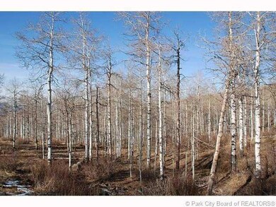 Land/Lot.
