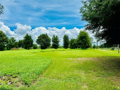 0 Fairview Heights Rd unit MFRT3538084, Zephyrhills, FL 33541 - photo 3