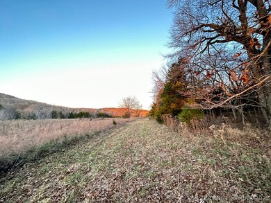 10 Stone Bluff Dr, Tahlequah, OK 74464 - photo 2