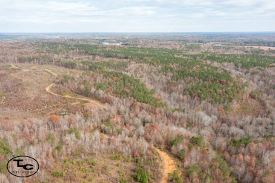 0 Steele Rd, Jasper, AL 35503 - photo 7