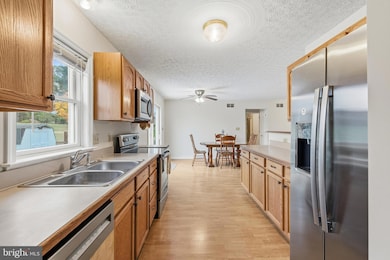 21 Greenfield Rd, Luray, VA 22835 - photo 5