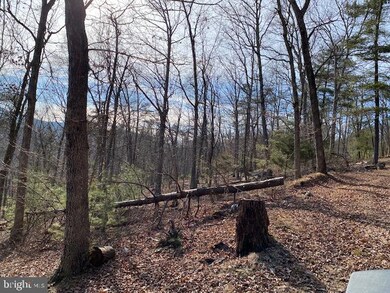 26851 Wv-55, Wardensville, WV 26851 - photo 6