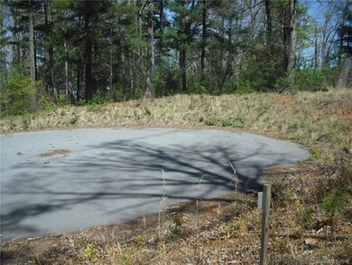 5 Hunting Ridge unit LOT 11, Leicester, NC 28748 - photo 3