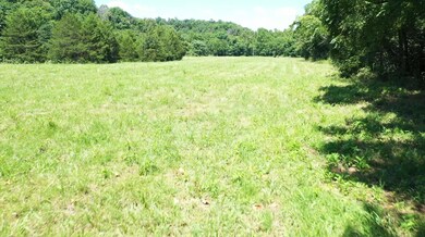 Tbd Cliff Rd, Union Township, MO 65459 - photo 3