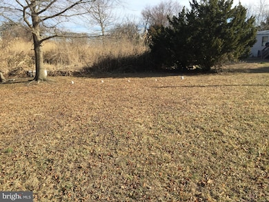 11 North Ave, Smyrna, DE 19977 - photo 4