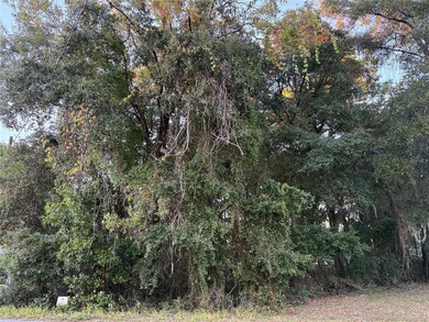 0 NW 60 St unit MFROM713210, Ocala, FL 34482 - photo 3