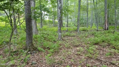 Lot 768 Tink Wig Dr, Lackawaxen Township, PA 18428 - photo 2