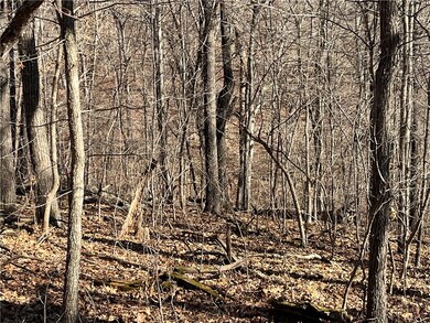 1 Ulverston Dr, Bella Vista, AR 72714 - photo 4