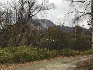 View from Rd Leading into Property