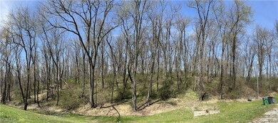 TBD Derby Dr, New Cumberlnd, WV 26047 - photo 4