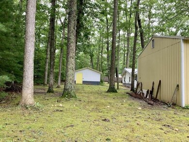 Back Yard Area