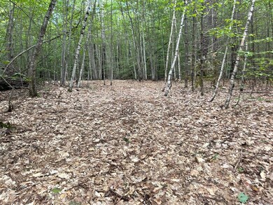 0 Conway Rd unit 4884471, Madison, NH 03849 - photo 4