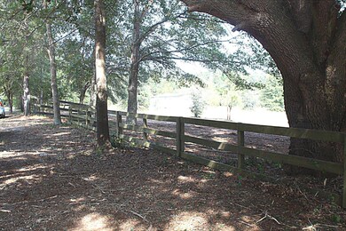 IMG_7270 - Copy